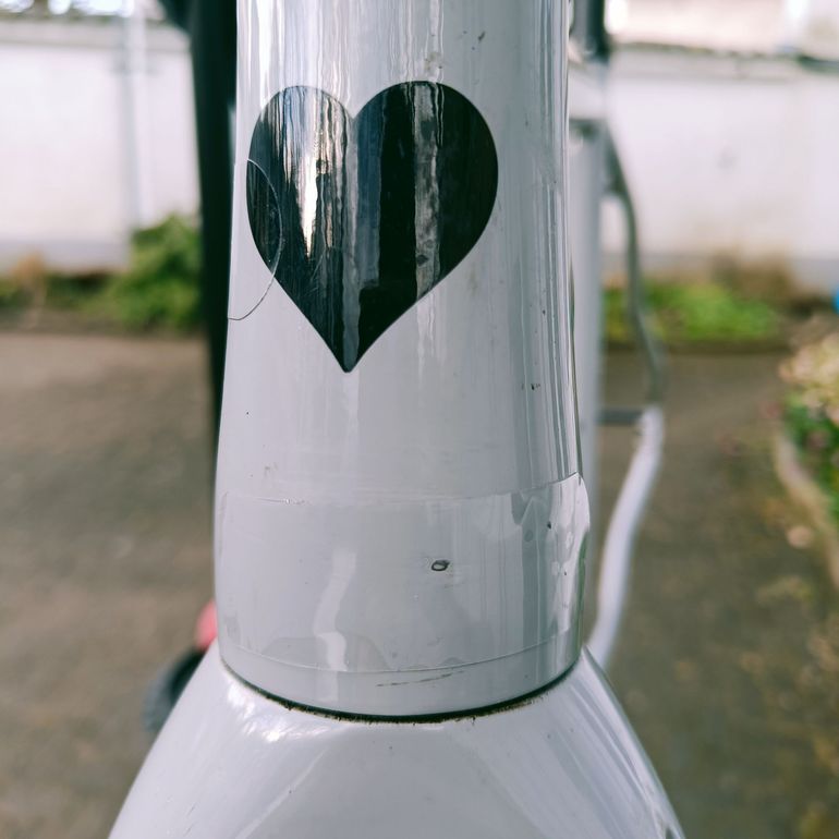 Used Blackheart Blackheart Allroad Frameset 2025 Road & Gravel, Light Gray — image 3 of 4