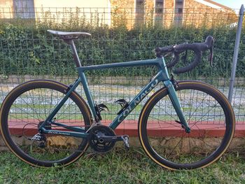 Colnago, V3-rs Rim 2021
