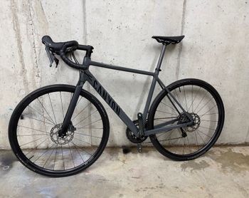 Canyon, Endurace 6 2024