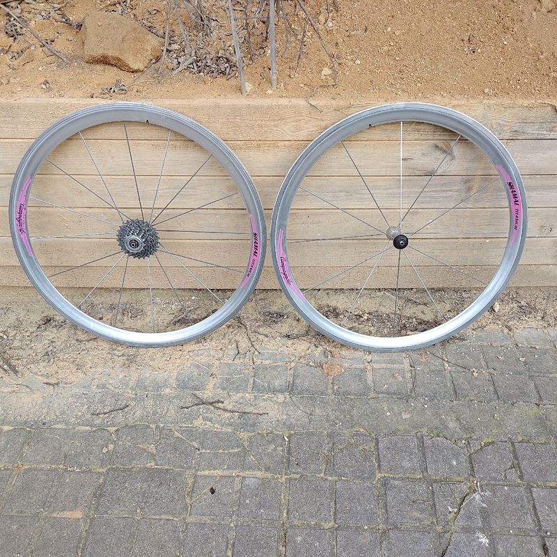 Used Gios Compact Pro 1995 1995 Road & Gravel, Blue — image 8 of 15