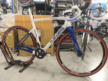 Flanders, Cx-next