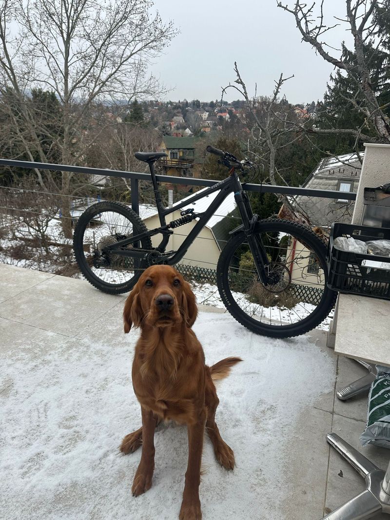 Used Specialized STATUS 2 170 2024 2024 MTB