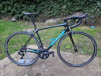 Giant, TCR ADVANCED SL 0