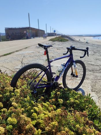 BMC, Kaius 01 THREE 2024