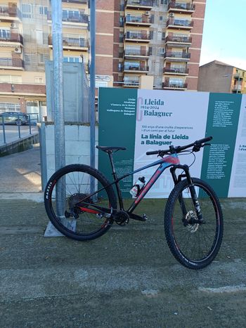 Orbea, ALMA M25 2019