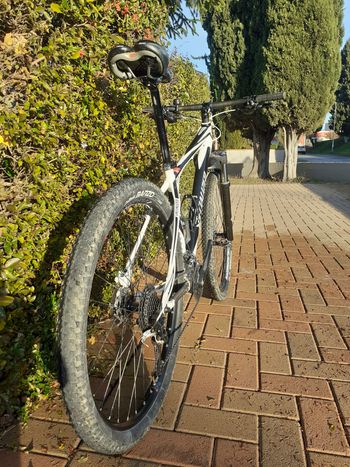 Used Specialized Specialized Carve 2012 Mountainbike — image 2 of 6