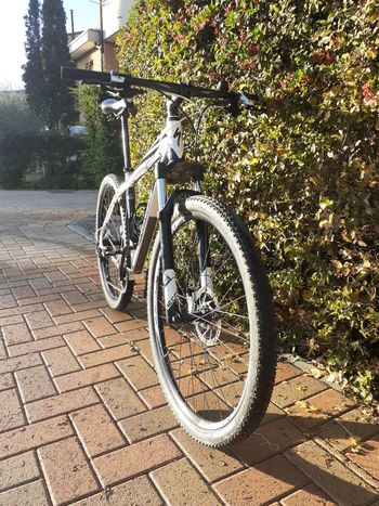 Used Specialized Specialized Carve 2012 VTT