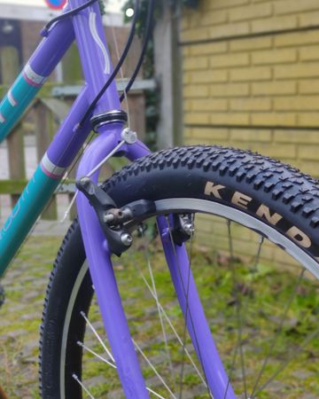 Gebrauchtes Scott Sawtooth Lady 1991 Mountainbike, Grün — Bild 9 von 9