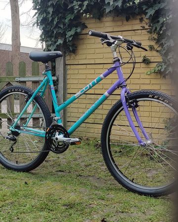 Gebrauchtes Scott Sawtooth Lady 1991 Mountainbike, Grün — Bild 3 von 9