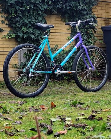Gebrauchtes Scott Sawtooth Lady 1991 Mountainbike, Grün — Bild 4 von 9