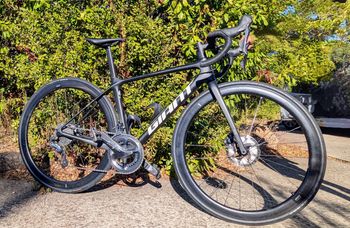 Giant, Giant TCR Advanced Pro Team Disc