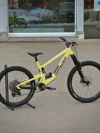 Santa Cruz, Nomad Custom