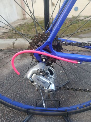 Used Pinarello Treviso 1975 Road & Gravel, Blue — image 16 of 16