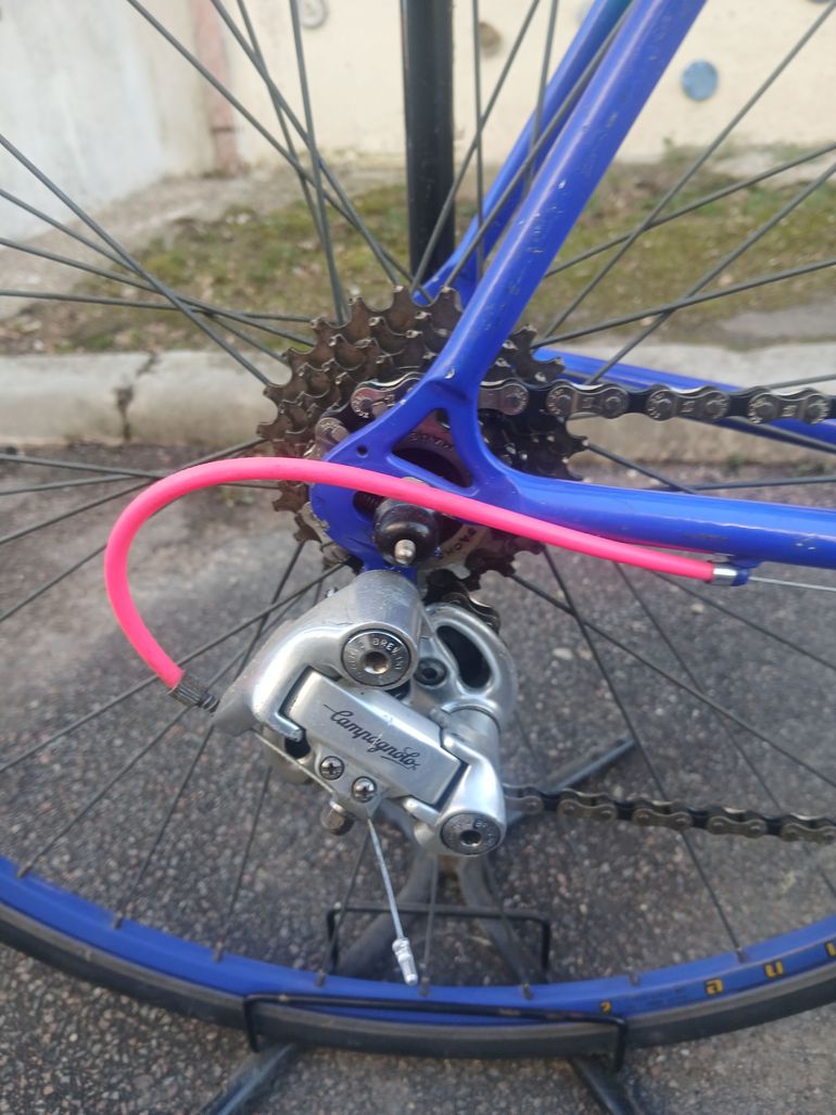 Used Pinarello Treviso 1975 Road & Gravel, Blue — image 16 of 16