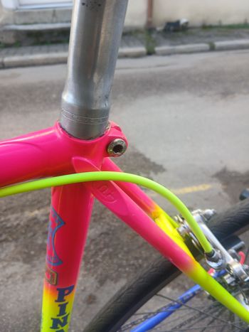 Used Pinarello Treviso 1975 Road & Gravel, Blue — image 12 of 16