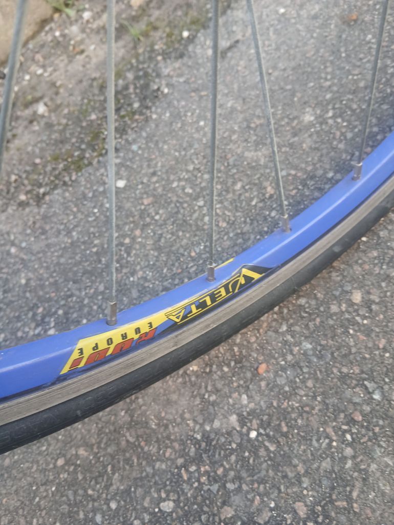 Used Pinarello Treviso 1975 Road & Gravel, Blue — image 10 of 16