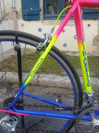 Used Pinarello Treviso 1975 Road & Gravel, Blue — image 2 of 16