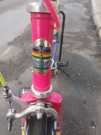 Used Pinarello Treviso 1975 Road & Gravel, Blue — image 9 of 16