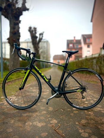 Giant, Defy Shimano Tiagra
