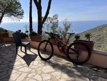 Used Cannondale Scalpel Carbon 3 2021 2021 Mountainbike, Rojo — image 2 of 2