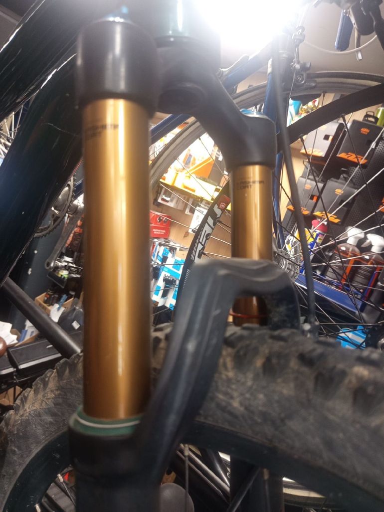 Used Niner Niner Jet9 RDO Cuadro Carbono RDO - All Mountain 2023 Mountainbike, Green, 29 — image 26 of 28