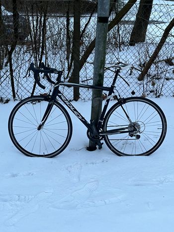 Ridley, Fenix 7005 Campagnolo Record 12