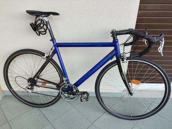 Used SECTOR SECTOR Custom Other Campagnolo 2004 Road & Gravel