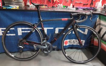Olmo, Olmo Veloce