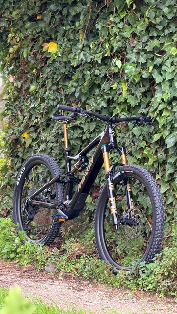 Used Amflow PL CARBON PRO 2026 Mountainbike, Black, 29 — image 22 of 22