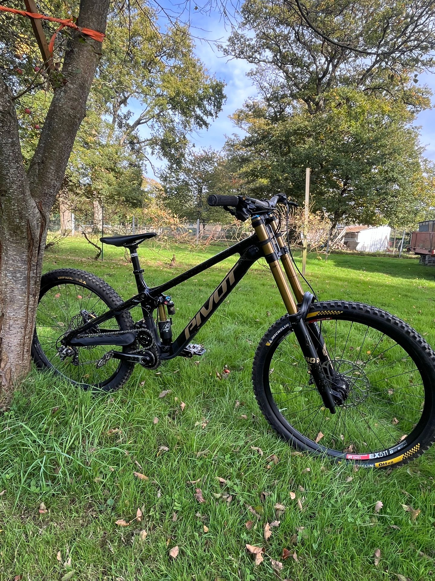 Pivot PHOENIX Pro Saint 2025 2025