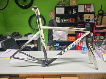 Look 586 Frameset 2012