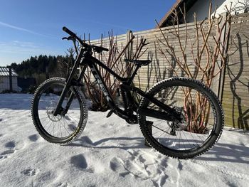 Trek, Session 8 2025