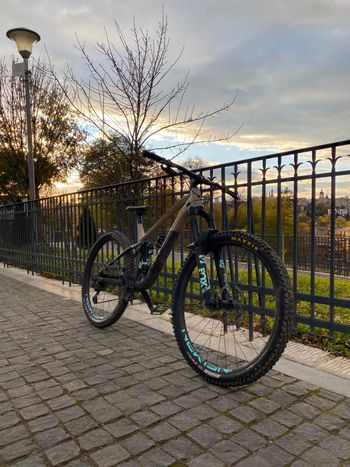 Used CUBE STEREO 170 RACE 29 2021 2021 Mountainbike, Light Gray, 29 — image 2 of 8