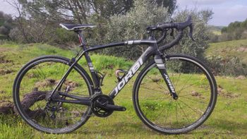 Jorbi, Jorbi Ultimax Carbono Campagnolo