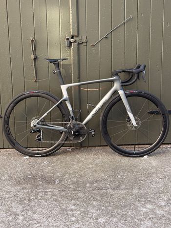 Used Evolve Cima 2026 Road & Gravel, Light Gray — image 2 of 10