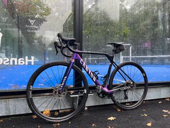 Canyon, Inflite CF SL 6 2025