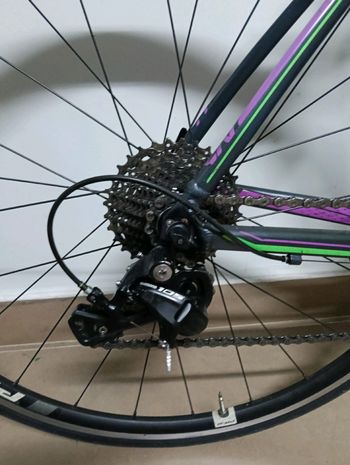 Used Liv Avail SL 2015 Road & Gravel, Purple — image 4 of 6