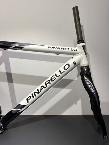 Used Pinarello Pinarello Dogma AK61 Magnesium Frameset 2004 Road & Gravel, White — image 4 of 9