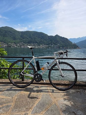 Used Colnago Clx 2016 Road & Gravel, White — image 12 of 13