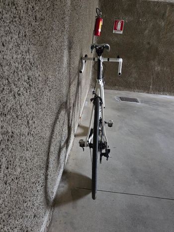 Used Colnago Clx 2016 Road & Gravel, White — image 10 of 11