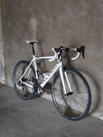 Used Colnago Clx 2016 Road & Gravel, White — image 5 of 11