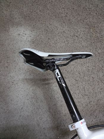 Used Colnago Clx 2016 Road & Gravel, White — image 7 of 11