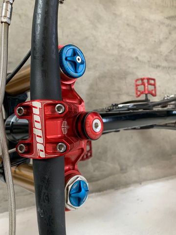 Brugt Lapierre DH 920 Factory Frameset 2012 Mountainbike — billede 5 af 26