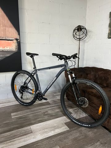 Used Cannondale Trail 6 2025 2025 Mountainbike, Light Gray, 29 — image 10 of 10