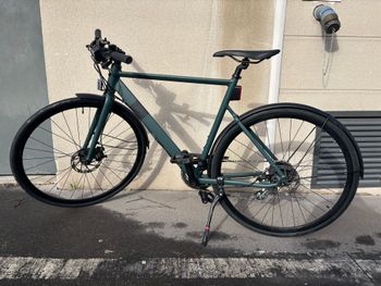green bike elektrofahrrad Fahrbike Roadster73 Plus 750W Motor Category:Schlösser_Abus Variation:Nur Schienen 20x4 Kenda Fat Tires Gudereit EC-4.8 evo -