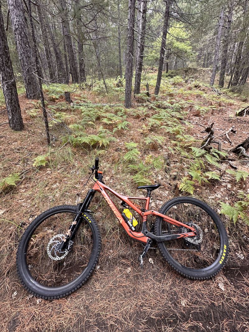 Brugt Orbea RALLON M10 2024 2024 Mountainbike — billede 5 af 21