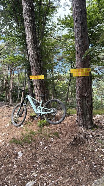 Used SCOR 4060 Z ST XT 2023 2023 Mountainbike — image 4 of 5