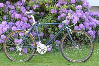 Campagnolo, EUCLID