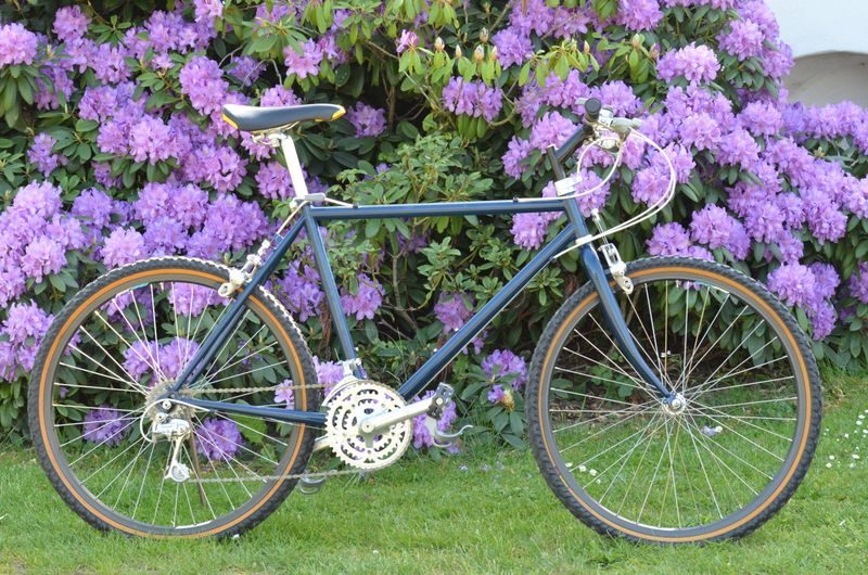 Used Campagnolo EUCLID 1989 Mountainbike, Blue — image 1 of 16