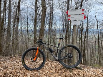 Used Scott Scale Shimano XTR 2023 Mountainbike, Black — image 2 of 7
